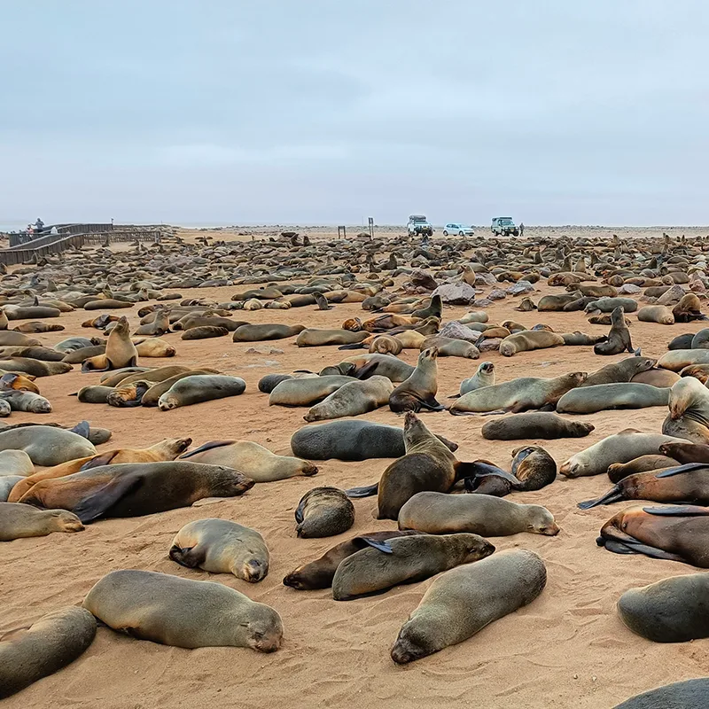 Namibia